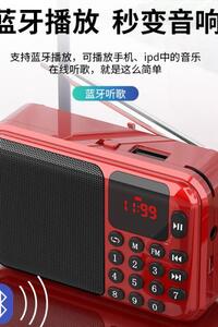 소애 C28 라디오 노인방송 카드 블루투스 스피커 휴대용 MP-20532