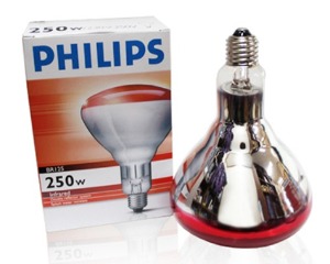 필립스 적외선램프 전구 적외선전구 250W